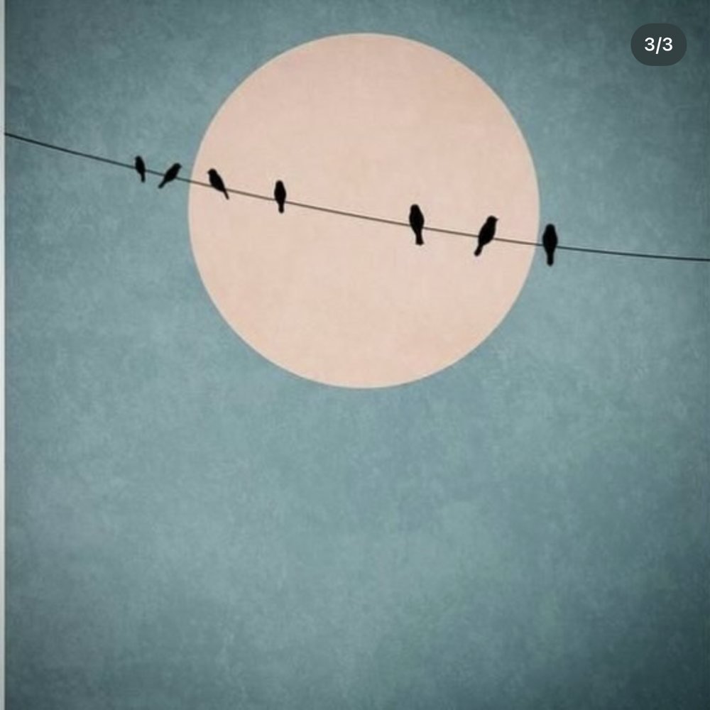 Artwork for haiku, day 20 of 365